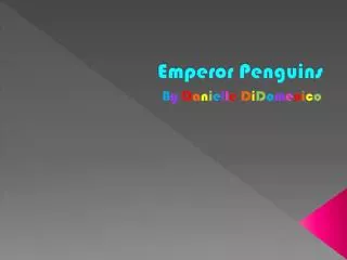 emperor penguins