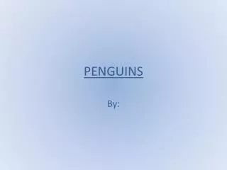 penguins