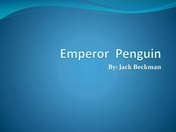 emperor penguin