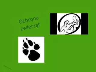 ochrona zwierz t