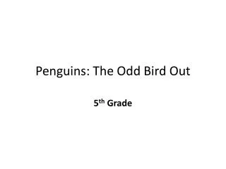 Penguins: The Odd Bird Out
