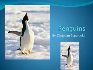 Penguins