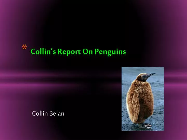 collin s report on p enguins