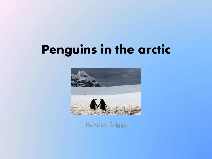 penguins in the arctic