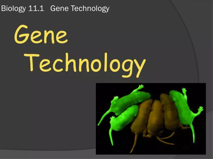 biology 11 1 gene technology