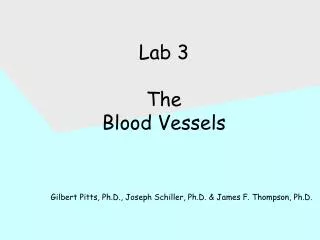 Lab 3 The Blood Vessels Gilbert Pitts, Ph.D., Joseph Schiller, Ph.D. &amp; James F. Thompson, Ph.D.