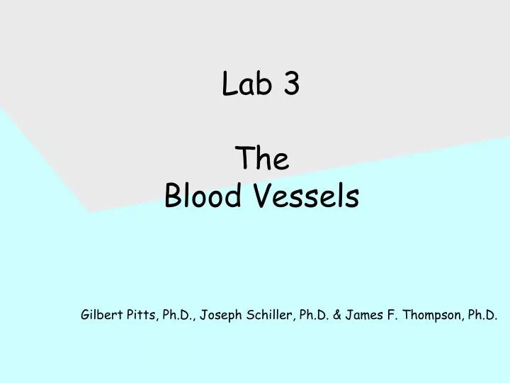 lab 3 the blood vessels gilbert pitts ph d joseph schiller ph d james f thompson ph d