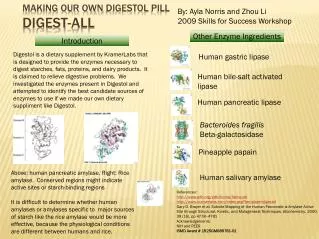 Making our own digestol pill digest-all