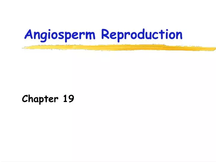 angiosperm reproduction