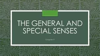 The General and Special Senses