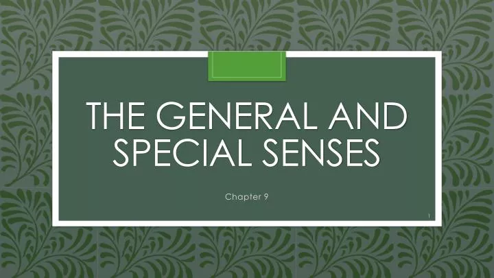 the general and special senses