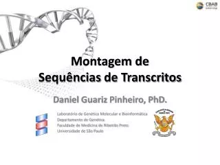 Montagem de Sequências de Transcritos