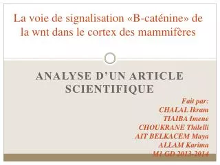 La voie de signalisation «B- caténine » de la wnt dans le cortex des mammifères