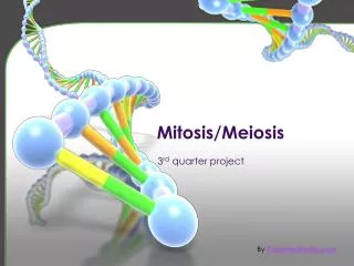 Mitosis/Meiosis