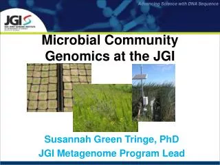 Microbial Community Genomics at the JGI