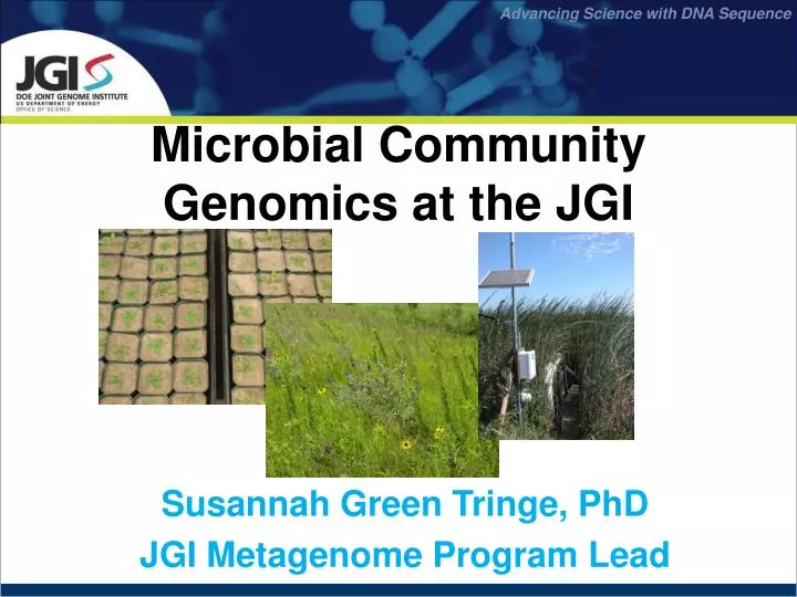 microbial community genomics at the jgi