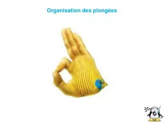 organisation des plong es