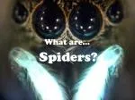 What are… - slide 1