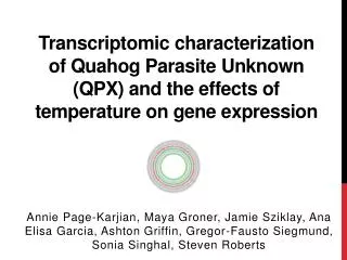 - Unicellular protists - Poorly described taxonomic group