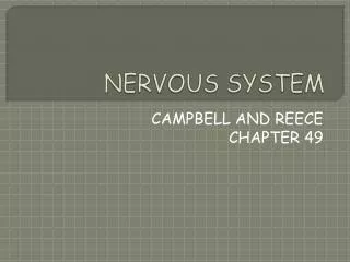 NERVOUS SYSTEM