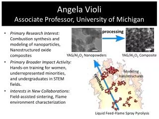 Angela Violi Associate Professor, University of Michigan
