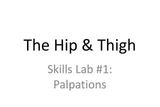 The Hip &amp; Thigh