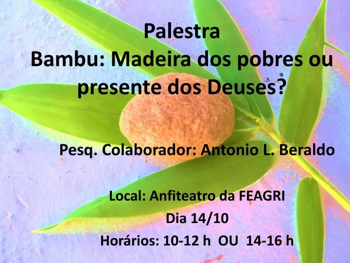 palestra bambu madeira dos pobres ou presente dos deuses