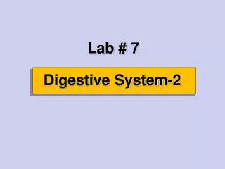 Digestive System-2
