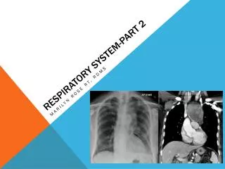 Respiratory system-part 2