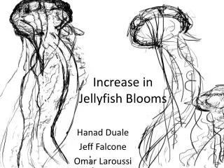 Increase in Jellyfish Blooms