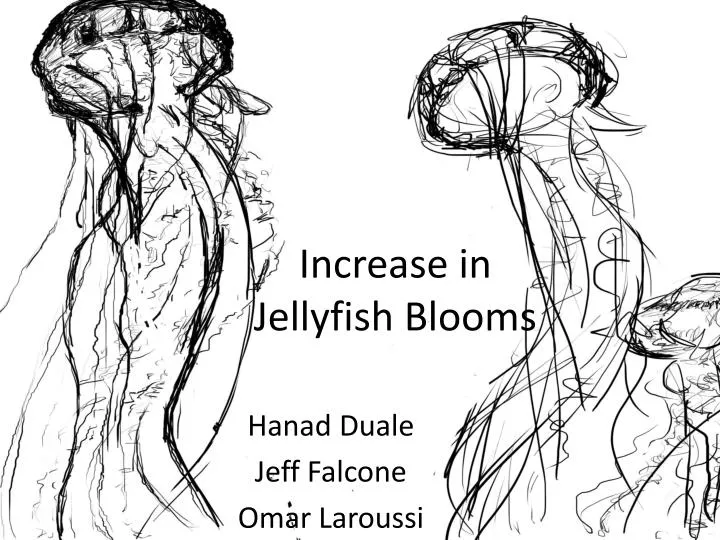 increase in jellyfish blooms