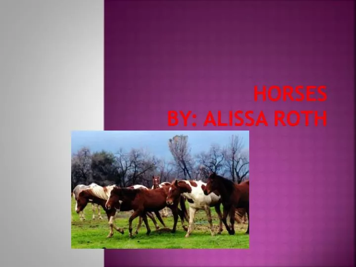 horses by alissa roth