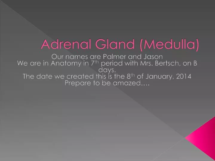 adrenal gland medulla