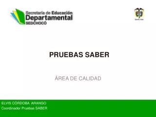 pruebas saber