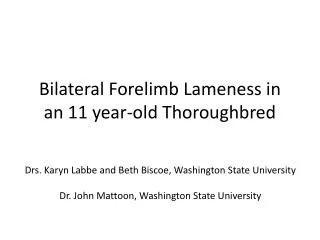 Bilateral Forelimb Lameness in an 11 year-old Thoroughbred