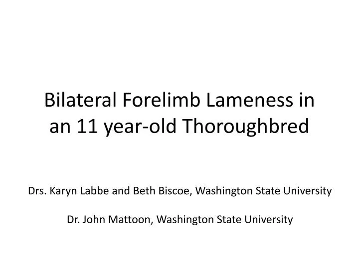 bilateral forelimb lameness in an 11 year old thoroughbred