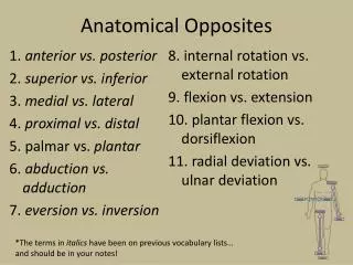 Anatomical Opposites