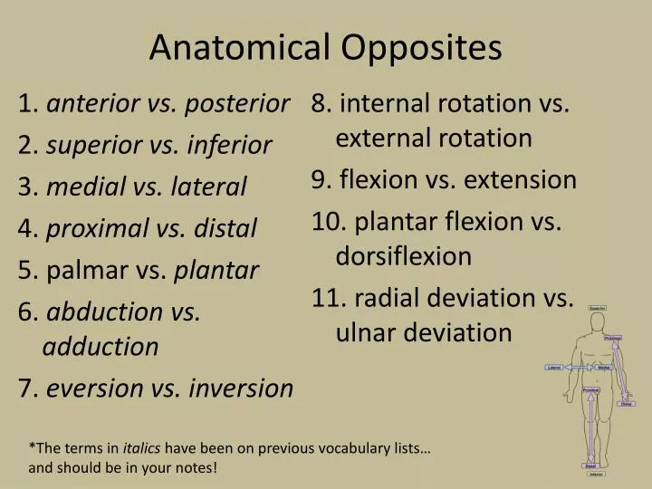 anatomical opposites