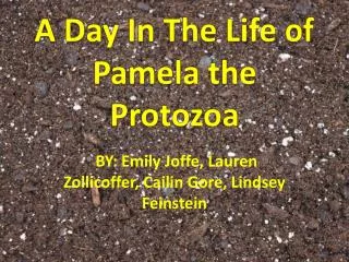 A Day In The Life of Pamela the Protozoa
