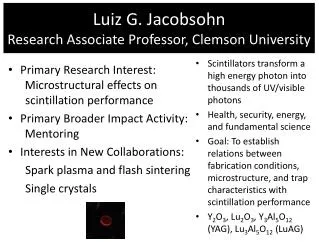 Luiz G. Jacobsohn Research Associate Professor, Clemson University