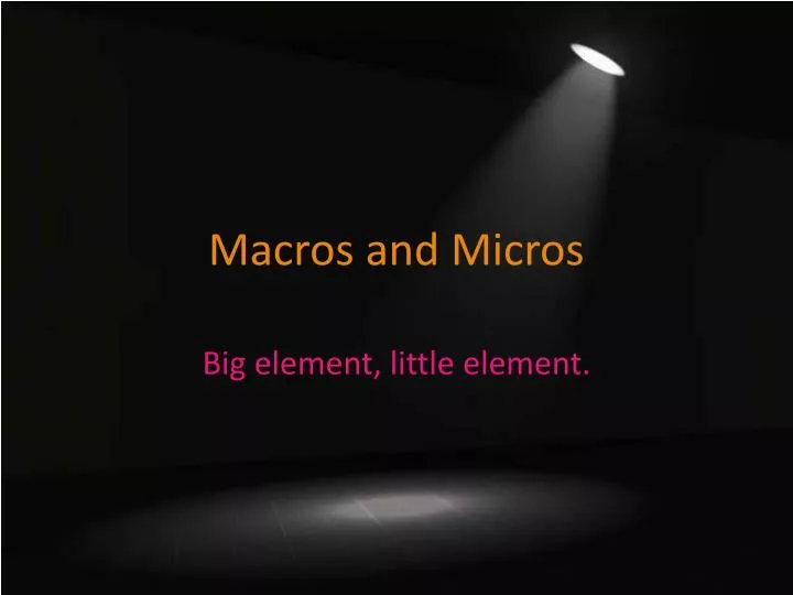 macros and micros