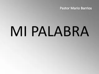 mi palabra