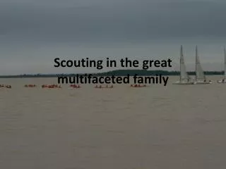 Scouting in the great multifaceted family