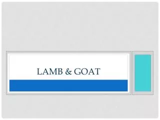 Lamb &amp; Goat