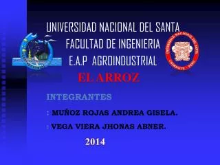 UNIVERSIDAD NACIONAL DEL SANTA FACULTAD DE INGENIERIA E.A.P AGROINDUSTRIAL
