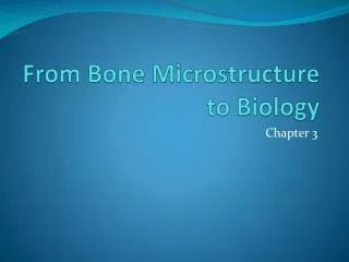 From Bone Microstructure to Biology