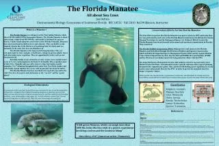 The Florida Manatee All about Sea Cows Jim DePalo