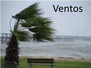ventos