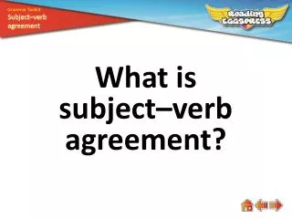 What is subject–verb agreement?