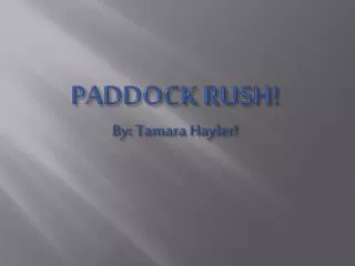 PADDOCK RUSH! By: Tamara Hayler !